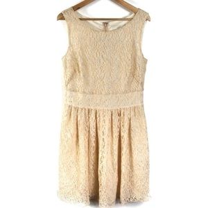 Loft Cream Sparkly Lace Sleeveless Mini Dress Size 10
